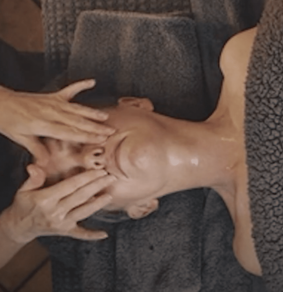A person lying down with eyes closed receives a facial massage, wrapped in a towel, with hands gently massaging their cheeks and forehead.